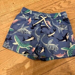 Carters 4T boys blue shark Print Swim Shorts